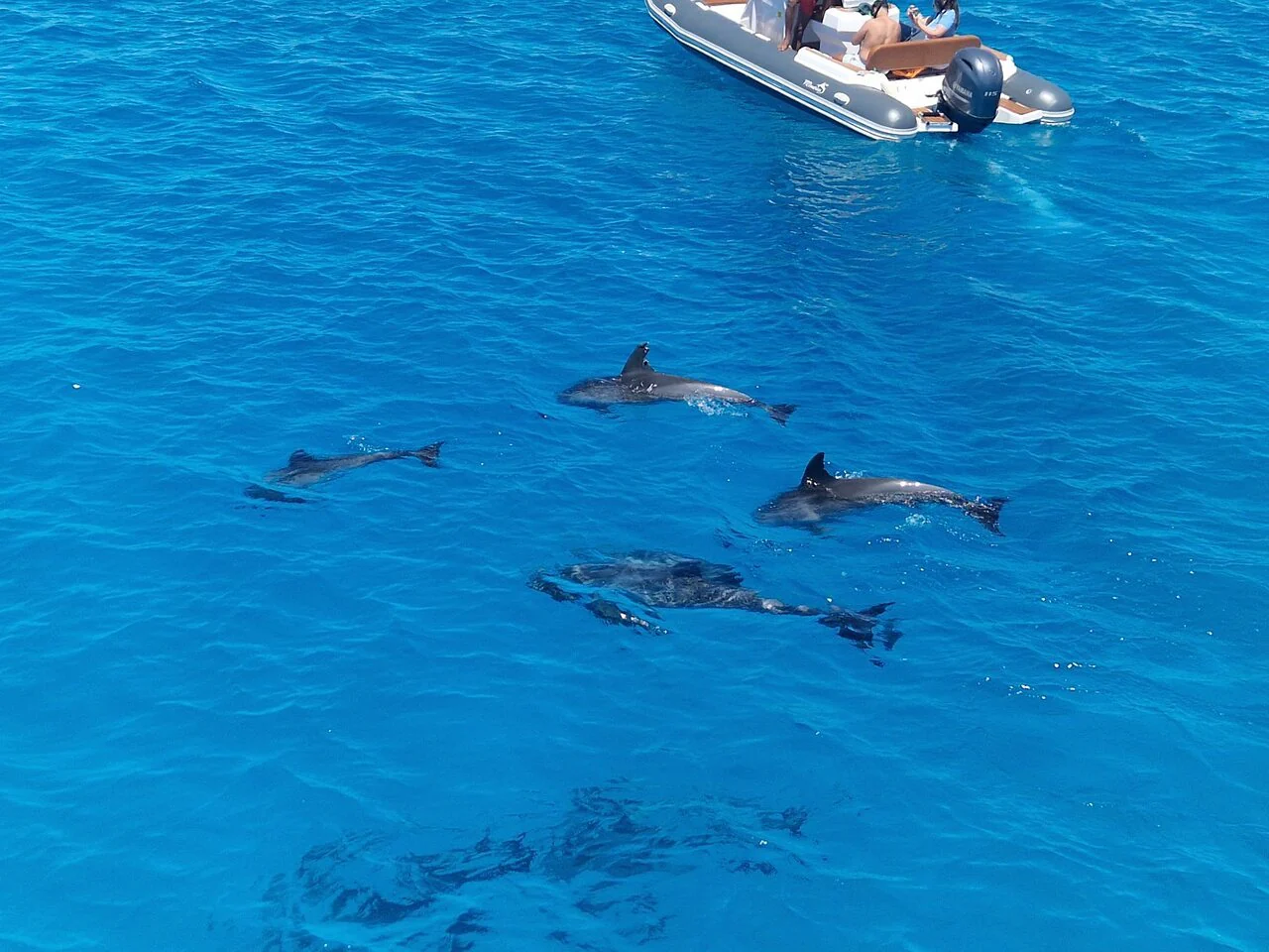 Red Sea Boat Trip Hurghada – Private Luxury Speed Boat
